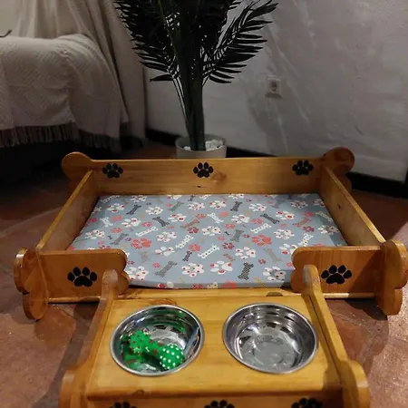 Apartamento Mascotas 1 Benaocaz Exterior foto